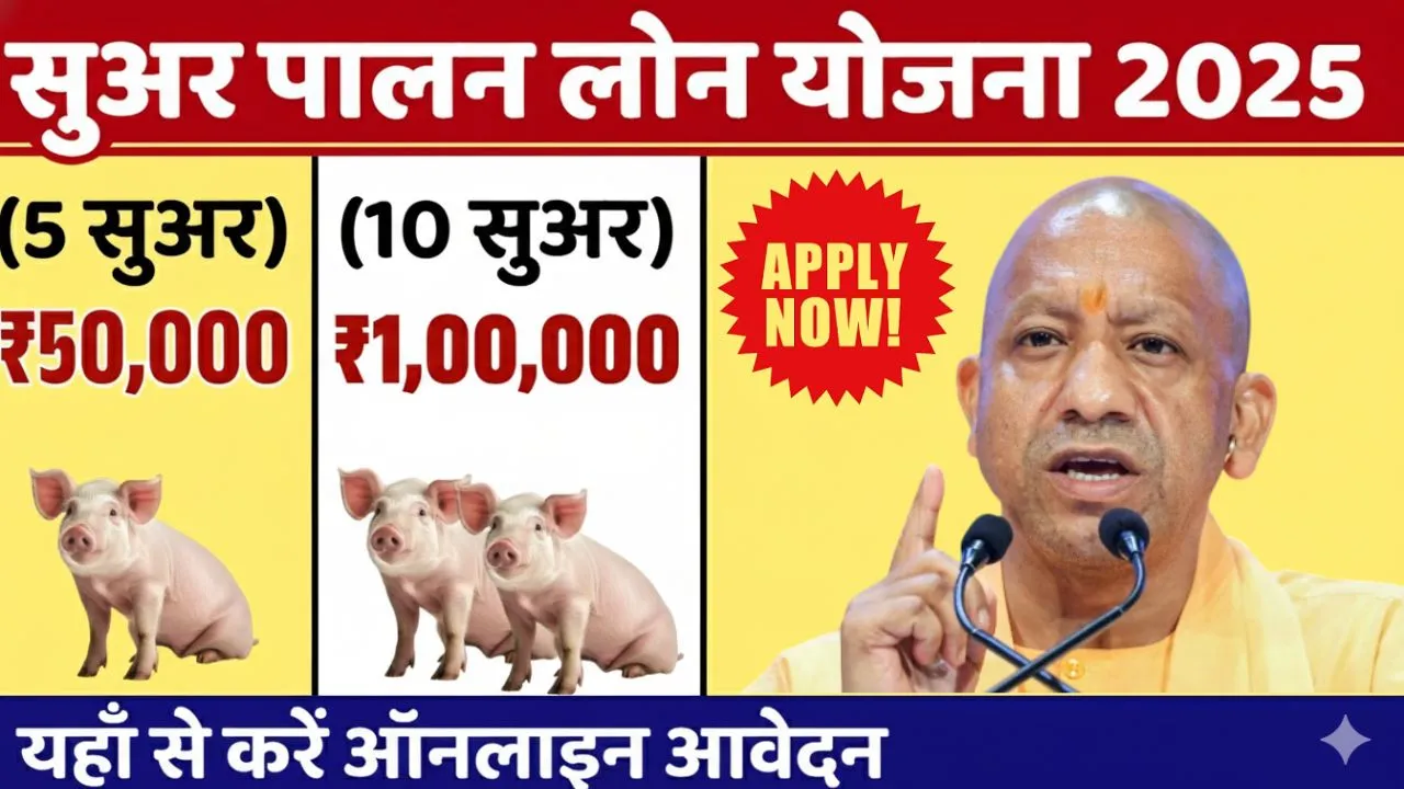 Suar Palan Loan Yojana 2025: सुअर पालन लोन योजना के आवेदन फॉर्म भरना शुरू | 60 लाख तक का लोन, 50% सब्सिडी